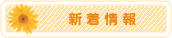 新着情報
