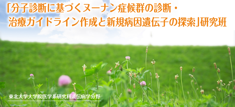 「分子診断に基づくヌーナン症候群の診断・治療ガイドライン作成と新規病因遺伝子の探索」研究班　東北大学大学院医学系研究科遺伝病学分野